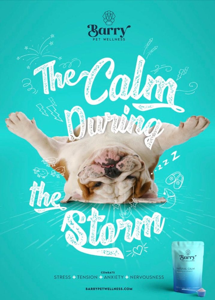 Barry pet wellness poster